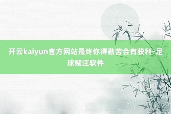 开云kaiyun官方网站最终你得勤苦会有获利-足球赌注软件