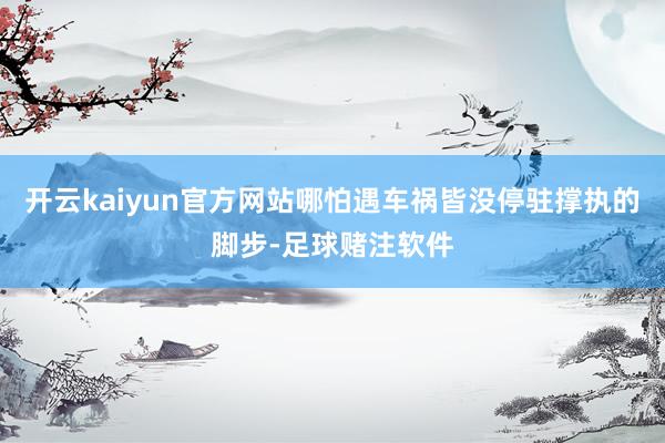 开云kaiyun官方网站哪怕遇车祸皆没停驻撑执的脚步-足球赌注软件