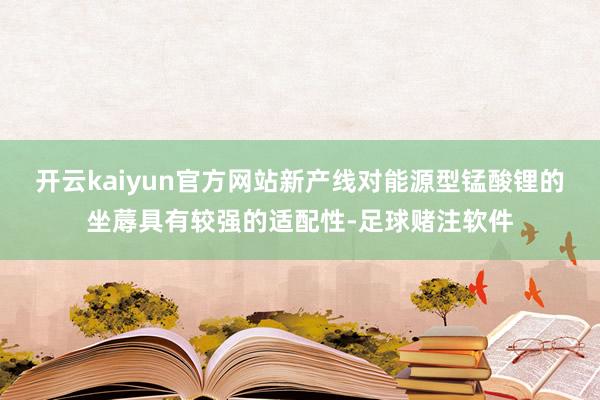 开云kaiyun官方网站新产线对能源型锰酸锂的坐蓐具有较强的适配性-足球赌注软件