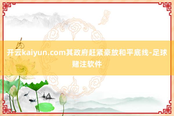 开云kaiyun.com其政府赶紧豪放和平底线-足球赌注软件