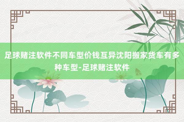 足球赌注软件不同车型价钱互异沈阳搬家货车有多种车型-足球赌注软件