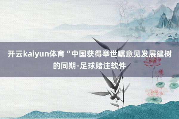 开云kaiyun体育“中国获得举世瞩意见发展建树的同期-足球赌注软件