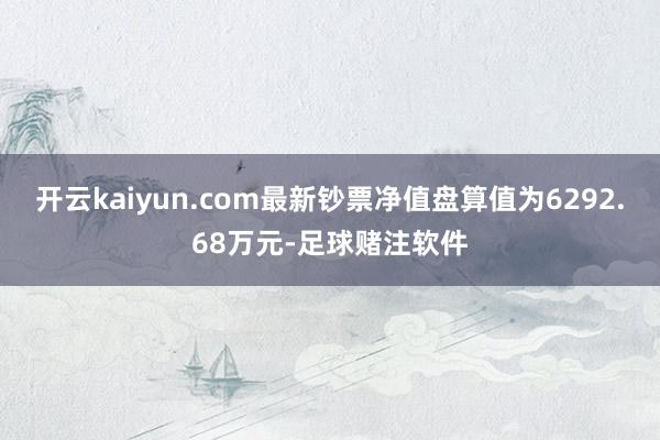 开云kaiyun.com最新钞票净值盘算值为6292.68万元-足球赌注软件