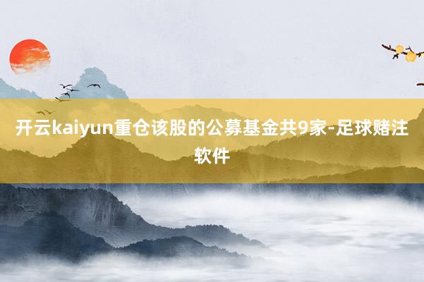 开云kaiyun重仓该股的公募基金共9家-足球赌注软件