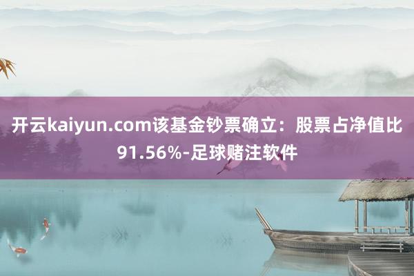 开云kaiyun.com该基金钞票确立：股票占净值比91.56%-足球赌注软件