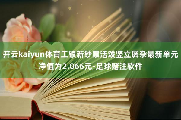 开云kaiyun体育工银新钞票活泼竖立羼杂最新单元净值为2.066元-足球赌注软件