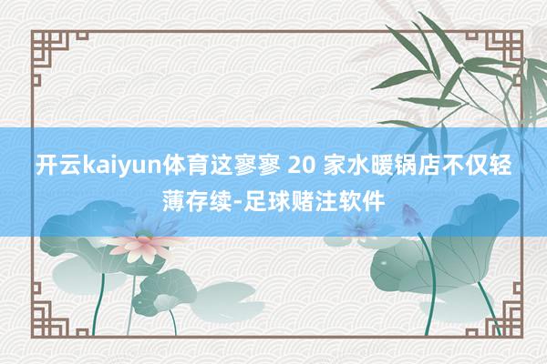 开云kaiyun体育这寥寥 20 家水暖锅店不仅轻薄存续-足球赌注软件