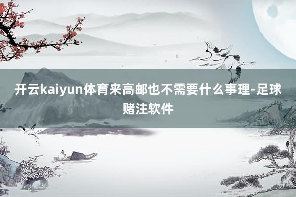开云kaiyun体育来高邮也不需要什么事理-足球赌注软件