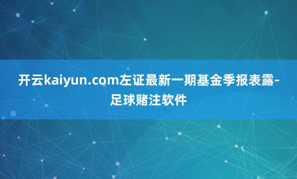 开云kaiyun.com左证最新一期基金季报表露-足球赌注软件