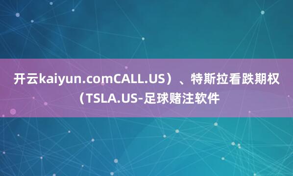 开云kaiyun.comCALL.US）、特斯拉看跌期权（TSLA.US-足球赌注软件