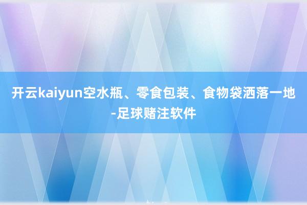 开云kaiyun空水瓶、零食包装、食物袋洒落一地-足球赌注软件