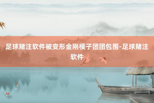 足球赌注软件被变形金刚模子团团包围-足球赌注软件