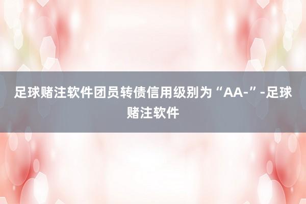 足球赌注软件团员转债信用级别为“AA-”-足球赌注软件