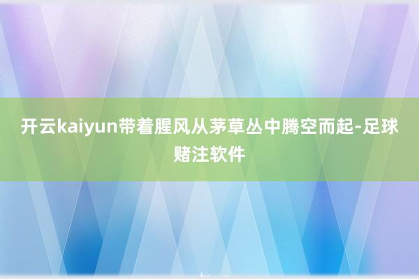 开云kaiyun带着腥风从茅草丛中腾空而起-足球赌注软件