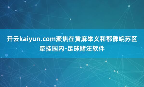 开云kaiyun.com聚焦在黄麻举义和鄂豫皖苏区牵挂园内-足球赌注软件