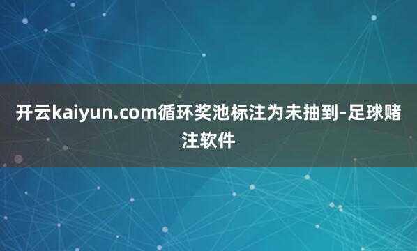 开云kaiyun.com循环奖池标注为未抽到-足球赌注软件