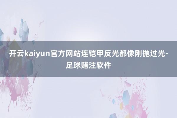 开云kaiyun官方网站连铠甲反光都像刚抛过光-足球赌注软件