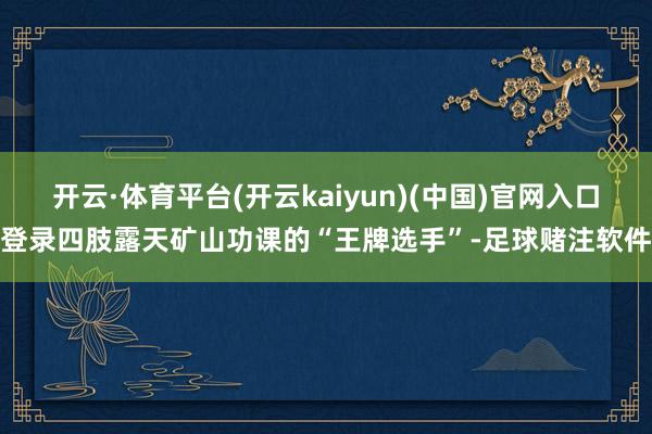 开云·体育平台(开云kaiyun)(中国)官网入口登录四肢露天矿山功课的“王牌选手”-足球赌注软件