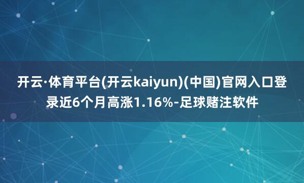 开云·体育平台(开云kaiyun)(中国)官网入口登录近6个月高涨1.16%-足球赌注软件