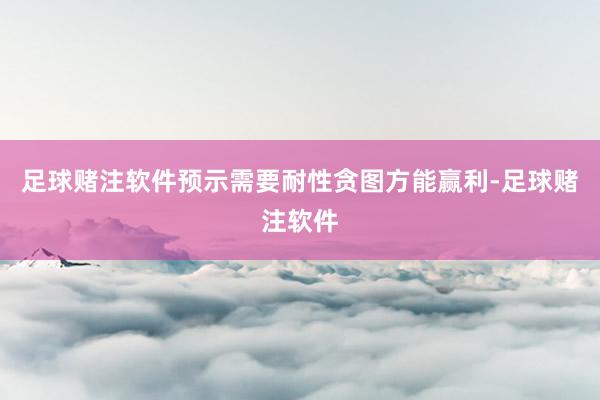 足球赌注软件预示需要耐性贪图方能赢利-足球赌注软件