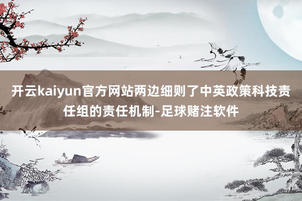 开云kaiyun官方网站两边细则了中英政策科技责任组的责任机制-足球赌注软件