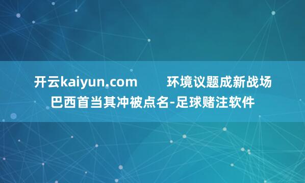 开云kaiyun.com        环境议题成新战场巴西首当其冲被点名-足球赌注软件
