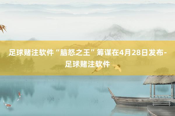 足球赌注软件“脑怒之王”筹谋在4月28日发布-足球赌注软件