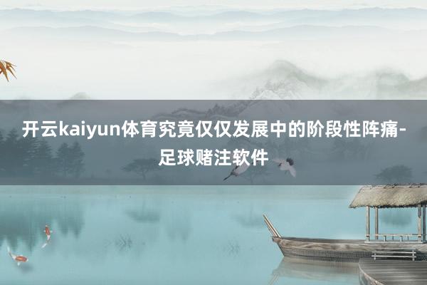 开云kaiyun体育究竟仅仅发展中的阶段性阵痛-足球赌注软件
