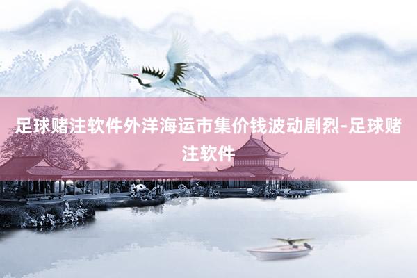 足球赌注软件外洋海运市集价钱波动剧烈-足球赌注软件