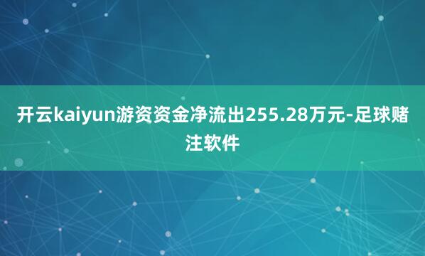 开云kaiyun游资资金净流出255.28万元-足球赌注软件