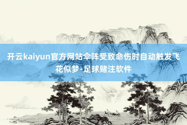 开云kaiyun官方网站伞阵受致命伤时自动触发飞花似梦-足球赌注软件