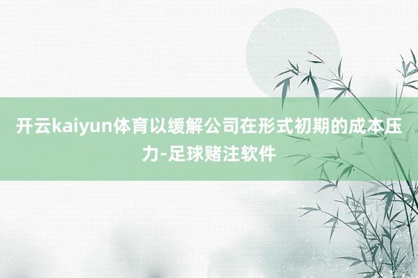 开云kaiyun体育以缓解公司在形式初期的成本压力-足球赌注软件