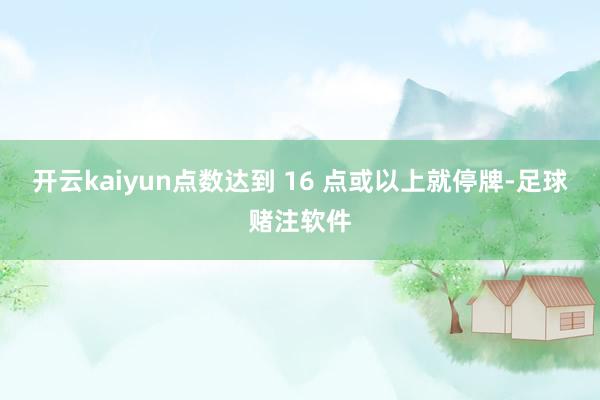 开云kaiyun点数达到 16 点或以上就停牌-足球赌注软件