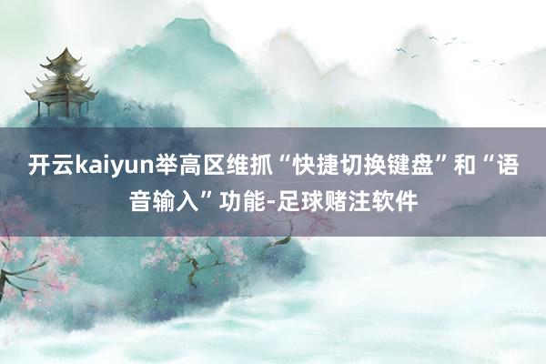 开云kaiyun举高区维抓“快捷切换键盘”和“语音输入”功能-足球赌注软件