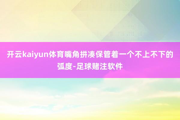 开云kaiyun体育嘴角拼凑保管着一个不上不下的弧度-足球赌注软件