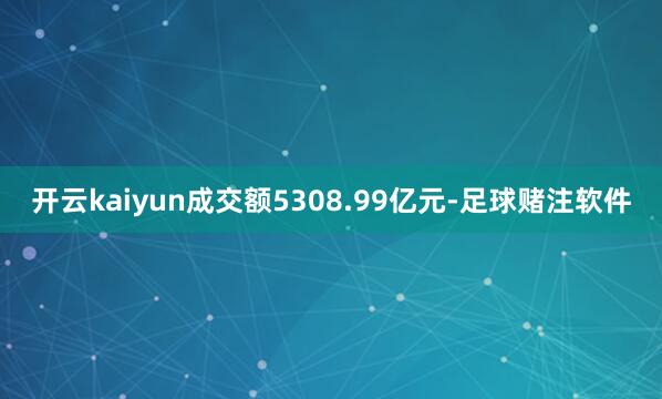 开云kaiyun成交额5308.99亿元-足球赌注软件