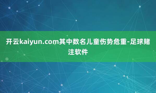 开云kaiyun.com其中数名儿童伤势危重-足球赌注软件