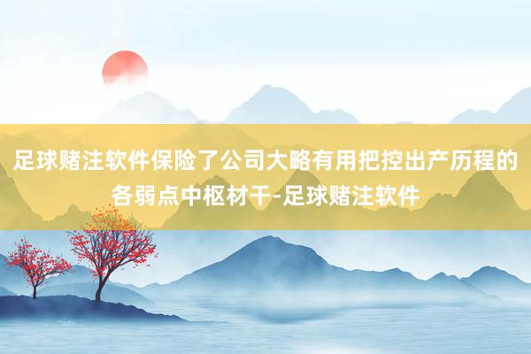 足球赌注软件保险了公司大略有用把控出产历程的各弱点中枢材干-足球赌注软件
