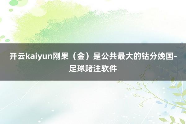 开云kaiyun刚果（金）是公共最大的钴分娩国-足球赌注软件