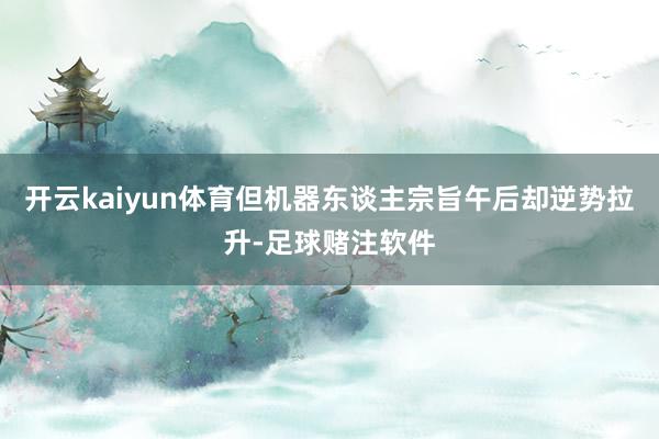 开云kaiyun体育但机器东谈主宗旨午后却逆势拉升-足球赌注软件