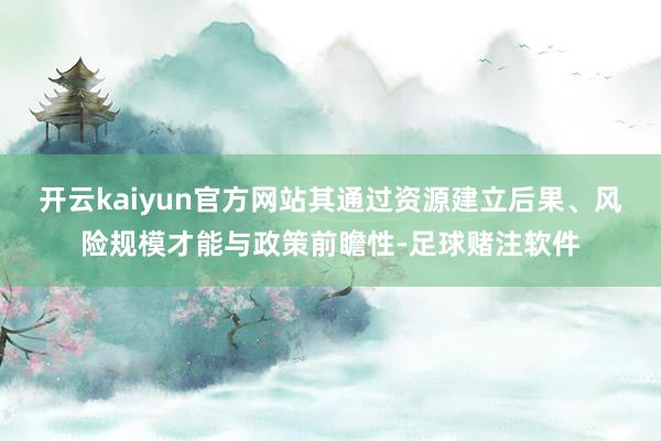 开云kaiyun官方网站其通过资源建立后果、风险规模才能与政策前瞻性-足球赌注软件