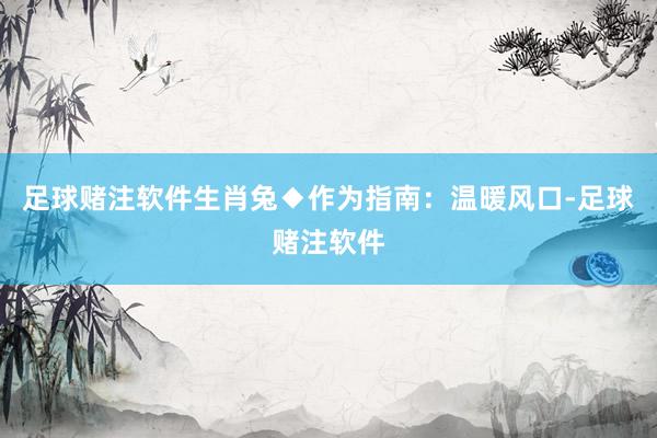 足球赌注软件生肖兔◆作为指南：温暖风口-足球赌注软件