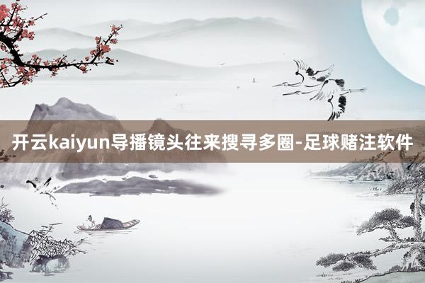 开云kaiyun导播镜头往来搜寻多圈-足球赌注软件