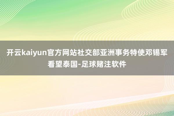 开云kaiyun官方网站社交部亚洲事务特使邓锡军看望泰国-足球赌注软件