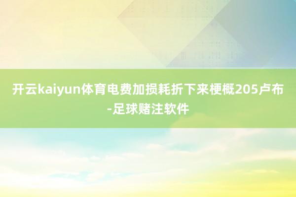 开云kaiyun体育电费加损耗折下来梗概205卢布-足球赌注软件