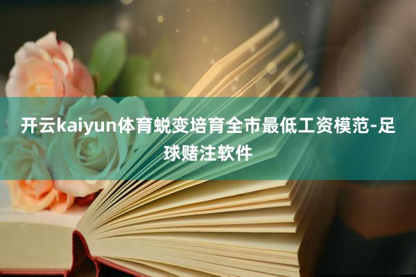 开云kaiyun体育蜕变培育全市最低工资模范-足球赌注软件