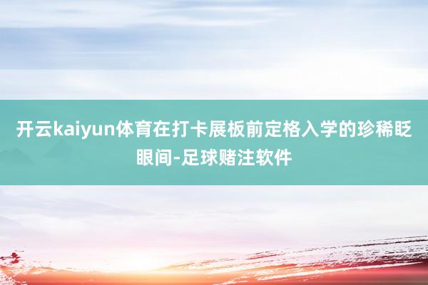 开云kaiyun体育在打卡展板前定格入学的珍稀眨眼间-足球赌注软件