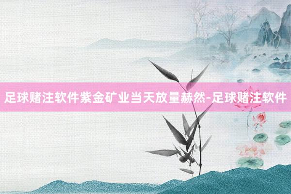 足球赌注软件紫金矿业当天放量赫然-足球赌注软件