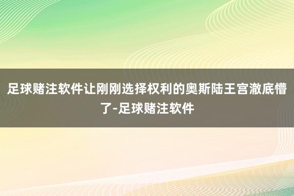 足球赌注软件让刚刚选择权利的奥斯陆王宫澈底懵了-足球赌注软件