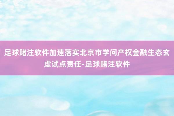足球赌注软件加速落实北京市学问产权金融生态玄虚试点责任-足球赌注软件